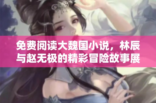 免费阅读大魏国小说，林辰与赵无极的精彩冒险故事展现！
