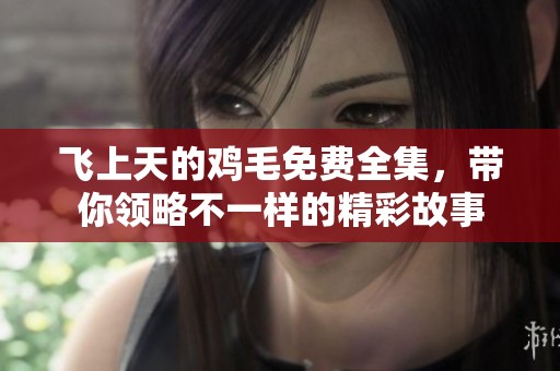 飞上天的鸡毛免费全集，带你领略不一样的精彩故事