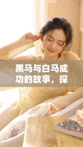 黑马与白马成功的故事，探讨其背后的成功视频魅力