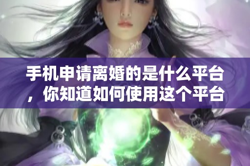 手机申请离婚的是什么平台，你知道如何使用这个平台吗