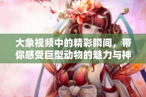 大象视频中的精彩瞬间，带你感受巨型动物的魅力与神秘。