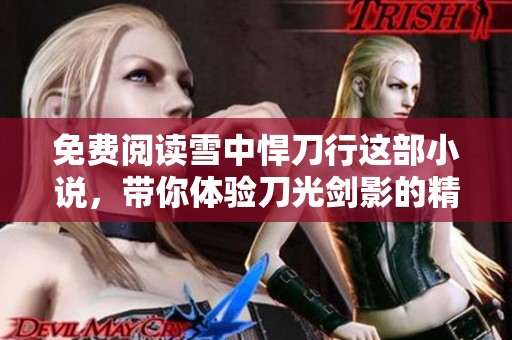 免费阅读雪中悍刀行这部小说，带你体验刀光剑影的精彩故事