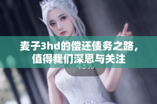 麦子3hd的偿还债务之路，值得我们深思与关注