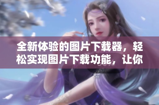 全新体验的图片下载器，轻松实现图片下载功能，让你畅享视觉盛宴