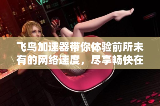 飞鸟加速器带你体验前所未有的网络速度，尽享畅快在线生活