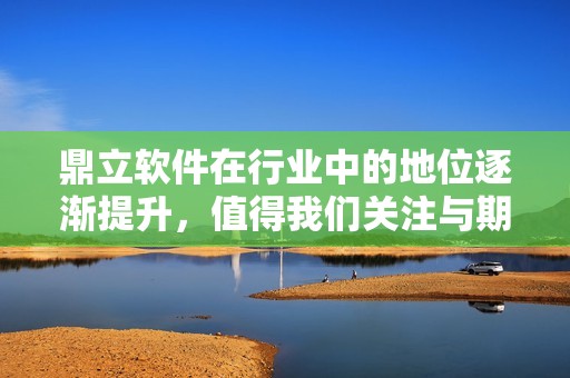 鼎立软件在行业中的地位逐渐提升，值得我们关注与期待。