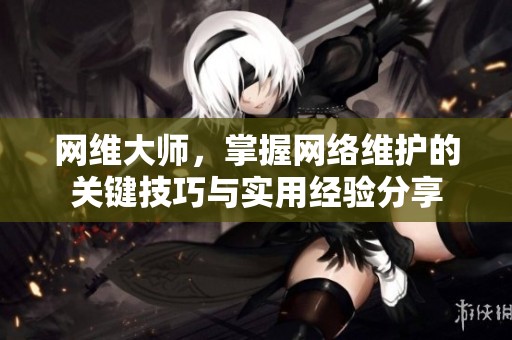 网维大师，掌握网络维护的关键技巧与实用经验分享