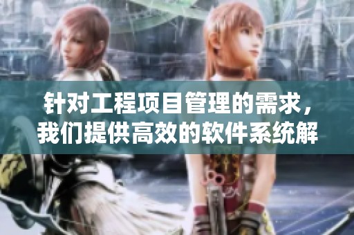 针对工程项目管理的需求，我们提供高效的软件系统解决方案
