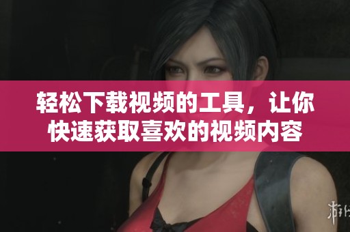 轻松下载视频的工具，让你快速获取喜欢的视频内容