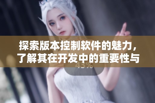 探索版本控制软件的魅力，了解其在开发中的重要性与应用技巧