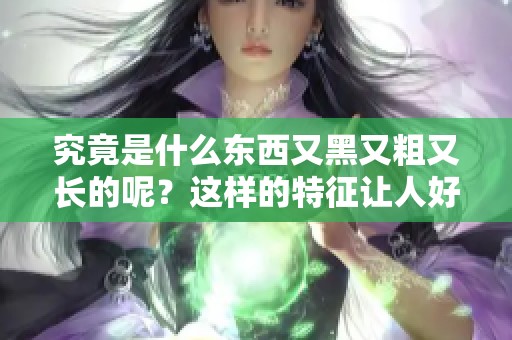 究竟是什么东西又黑又粗又长的呢？这样的特征让人好奇不已。
