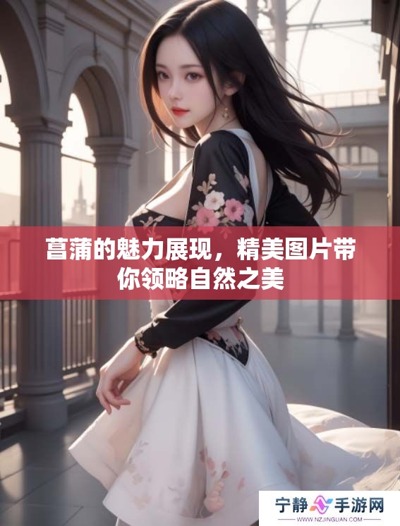 菖蒲的魅力展现，精美图片带你领略自然之美