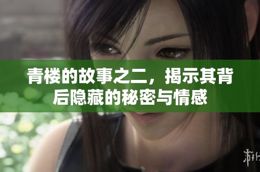 青楼的故事之二，揭示其背后隐藏的秘密与情感