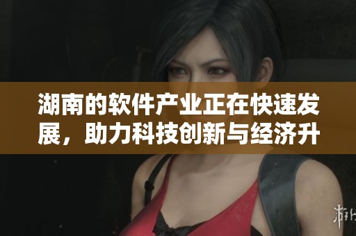 湖南的软件产业正在快速发展，助力科技创新与经济升级