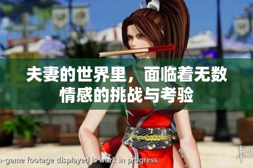 夫妻的世界里，面临着无数情感的挑战与考验