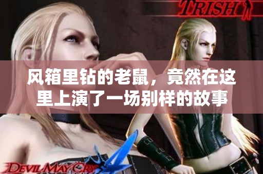 风箱里钻的老鼠，竟然在这里上演了一场别样的故事