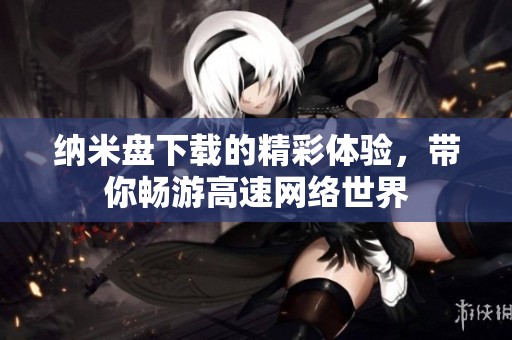 纳米盘下载的精彩体验，带你畅游高速网络世界