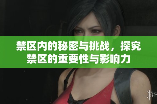 禁区内的秘密与挑战，探究禁区的重要性与影响力