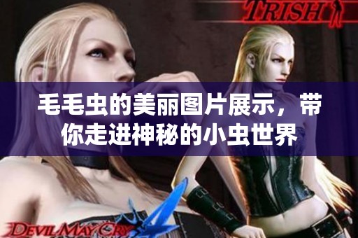 毛毛虫的美丽图片展示，带你走进神秘的小虫世界
