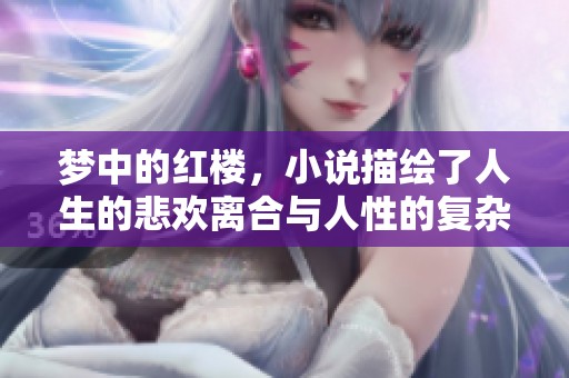 梦中的红楼，小说描绘了人生的悲欢离合与人性的复杂多样