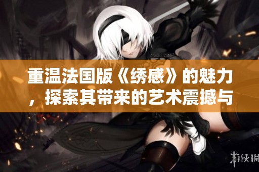 重温法国版《绣感》的魅力，探索其带来的艺术震撼与情感深度