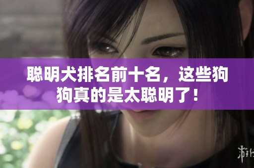 聪明犬排名前十名，这些狗狗真的是太聪明了！