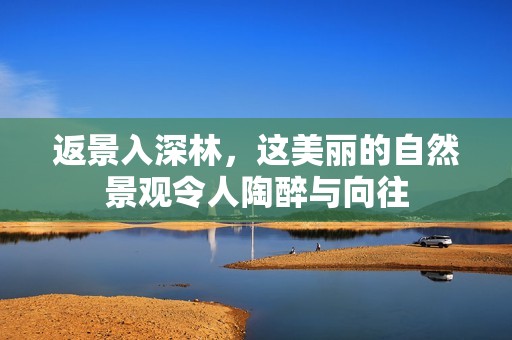 返景入深林，这美丽的自然景观令人陶醉与向往