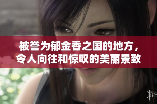 被誉为郁金香之国的地方，令人向往和惊叹的美丽景致同时展现。