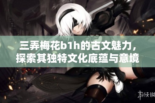 三弄梅花b1h的古文魅力，探索其独特文化底蕴与意境之美