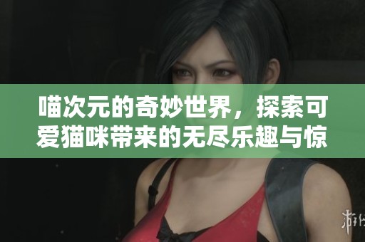 喵次元的奇妙世界，探索可爱猫咪带来的无尽乐趣与惊喜