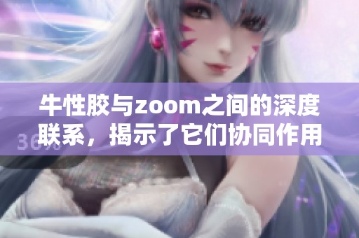 牛性胶与zoom之间的深度联系，揭示了它们协同作用的重要性