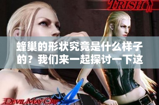 蜂巢的形状究竟是什么样子的？我们来一起探讨一下这个有趣的问题。