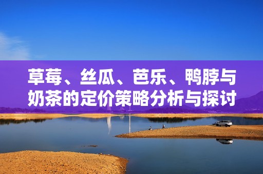 草莓、丝瓜、芭乐、鸭脖与奶茶的定价策略分析与探讨