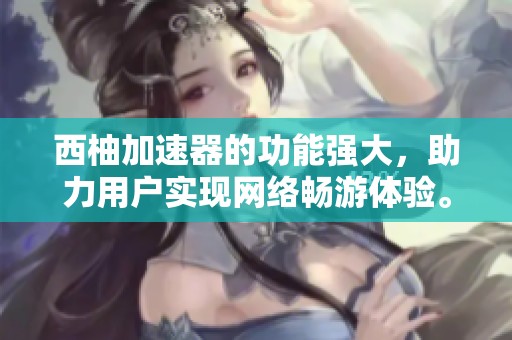西柚加速器的功能强大，助力用户实现网络畅游体验。