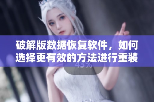 破解版数据恢复软件，如何选择更有效的方法进行重装及使用技巧