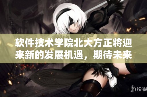软件技术学院北大方正将迎来新的发展机遇，期待未来创新与进步。