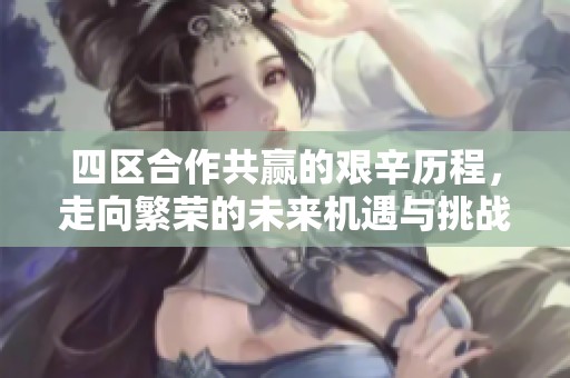 四区合作共赢的艰辛历程，走向繁荣的未来机遇与挑战并存