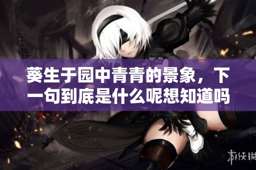 葵生于园中青青的景象，下一句到底是什么呢想知道吗