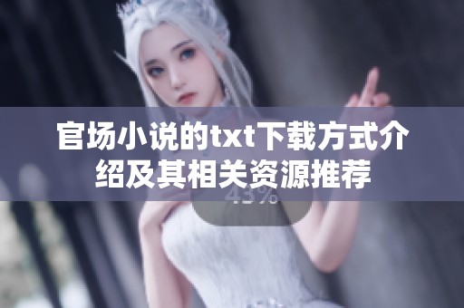 官场小说的txt下载方式介绍及其相关资源推荐