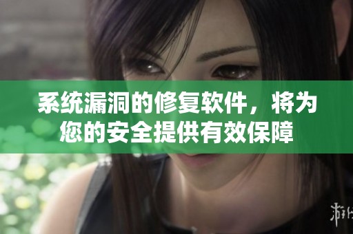 系统漏洞的修复软件，将为您的安全提供有效保障