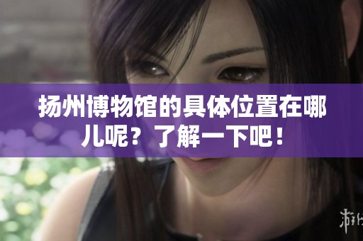 扬州博物馆的具体位置在哪儿呢？了解一下吧！
