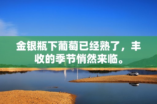 金银瓶下葡萄已经熟了，丰收的季节悄然来临。