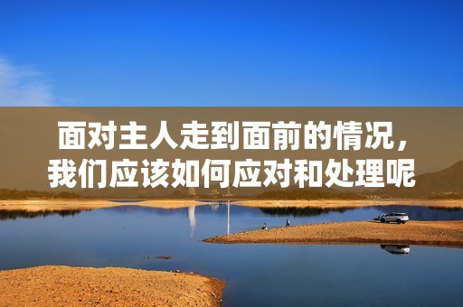 面对主人走到面前的情况，我们应该如何应对和处理呢？