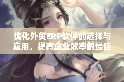 优化外贸ERP软件的选择与应用，提高企业效率的最佳解决方案