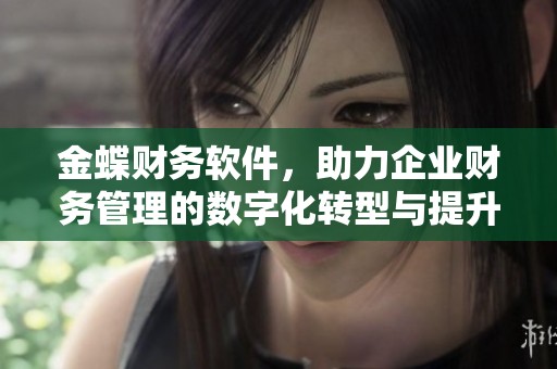 金蝶财务软件，助力企业财务管理的数字化转型与提升效率