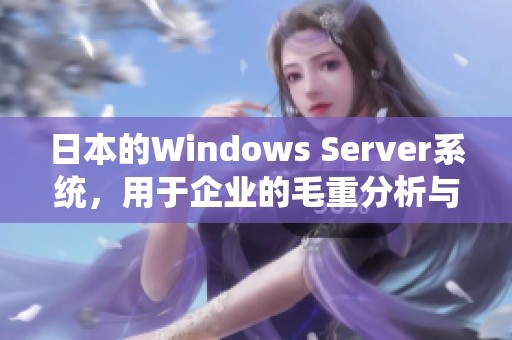 日本的Windows Server系统，用于企业的毛重分析与管理方法探索