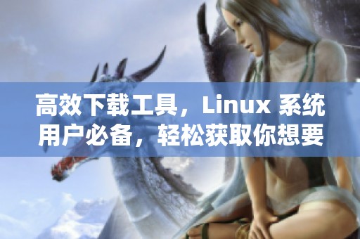 高效下载工具，Linux 系统用户必备，轻松获取你想要的资源