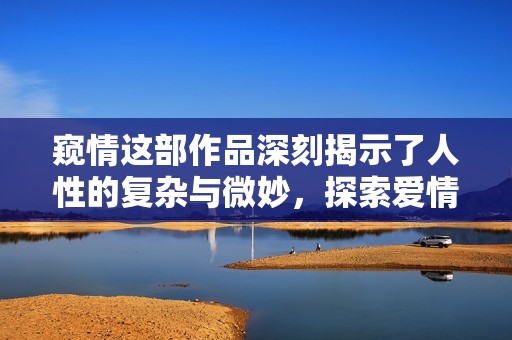 窥情这部作品深刻揭示了人性的复杂与微妙，探索爱情的真谛与现实的交织