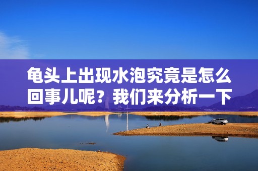 龟头上出现水泡究竟是怎么回事儿呢？我们来分析一下。