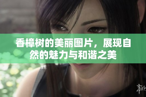 香樟树的美丽图片，展现自然的魅力与和谐之美
